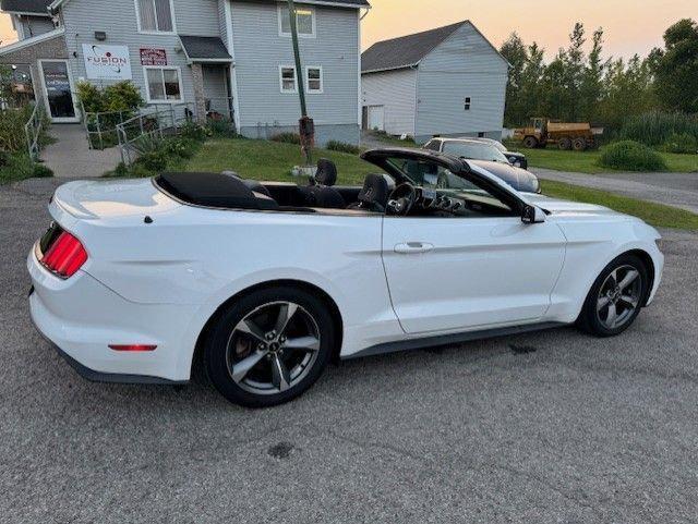 used 2016 Ford Mustang car, priced at $13,995