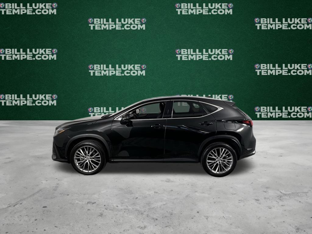 used 2024 Lexus NX 350 car, priced at $48,973