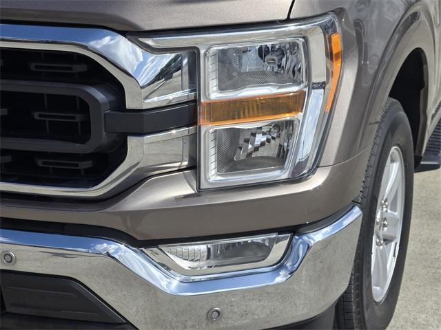 used 2021 Ford F-150 car, priced at $31,988