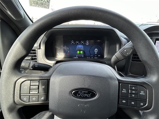 new 2025 Ford F-150 car