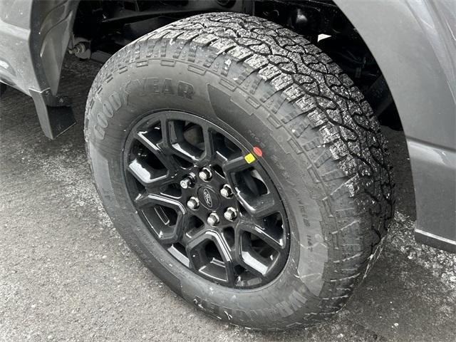new 2025 Ford F-150 car