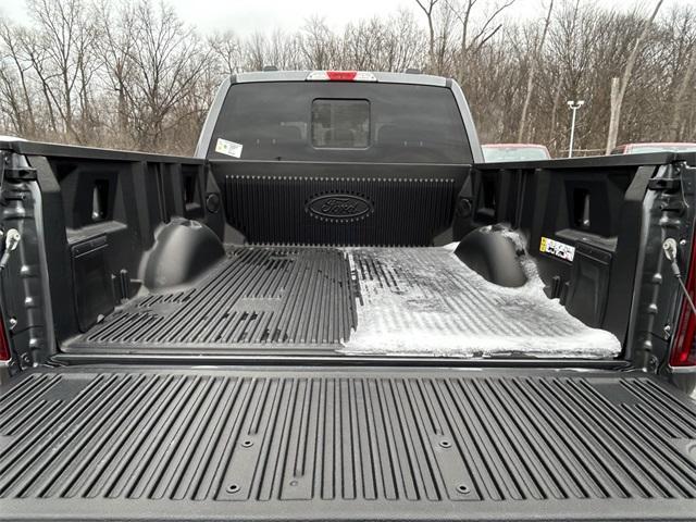 new 2025 Ford F-150 car