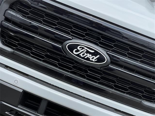 new 2025 Ford F-150 car