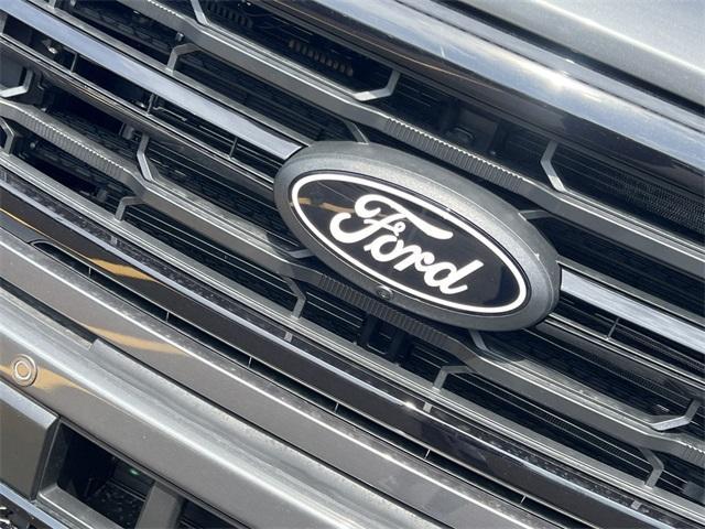 new 2025 Ford F-150 car