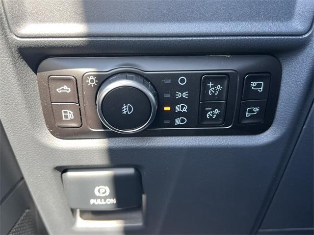 new 2025 Ford F-150 car