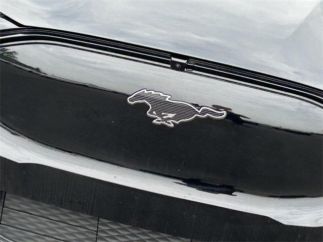 new 2025 Ford Mustang Mach-E car