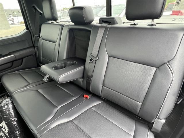 new 2025 Ford F-150 car