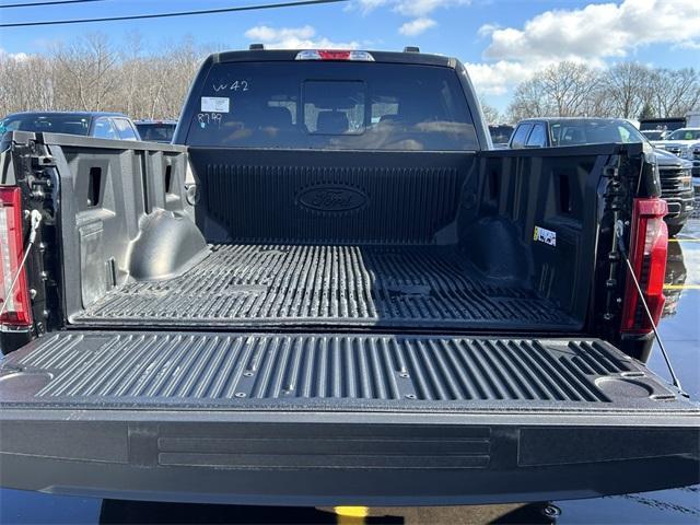 new 2025 Ford F-150 car