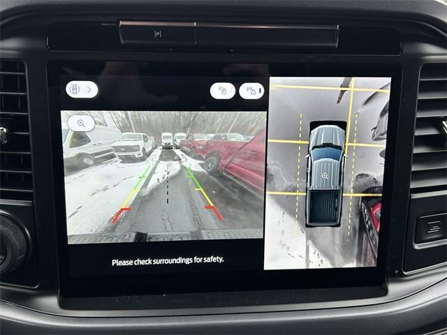 new 2025 Ford F-150 car