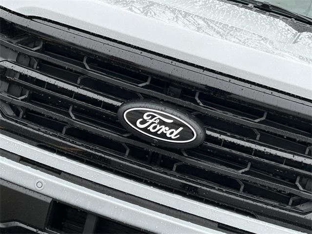 new 2025 Ford F-150 car