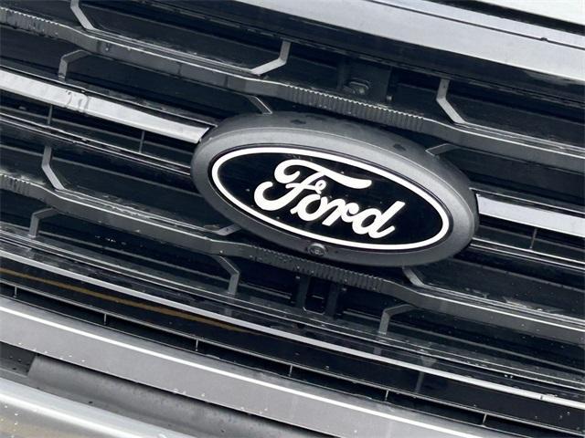 new 2025 Ford F-150 car