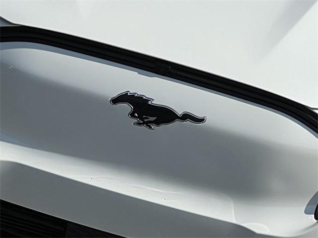 new 2025 Ford Mustang Mach-E car
