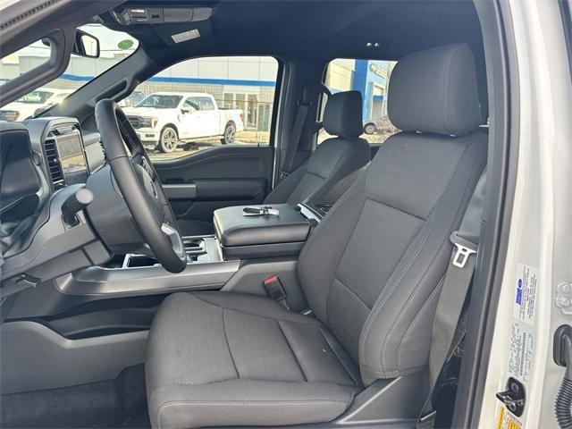 new 2025 Ford F-150 car
