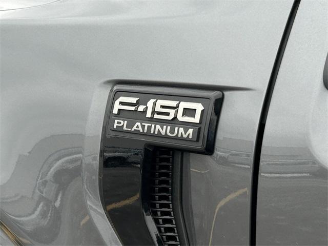 new 2025 Ford F-150 car