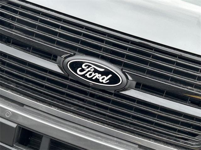 new 2025 Ford F-150 car