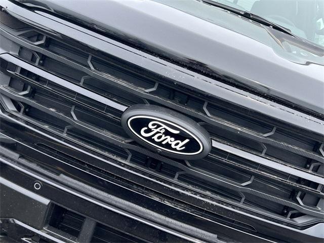 new 2025 Ford F-150 car
