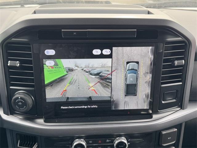 new 2025 Ford F-150 car