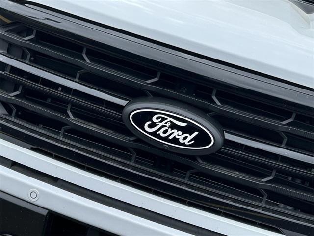 new 2025 Ford F-150 car