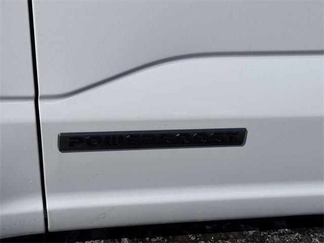 new 2025 Ford F-150 car