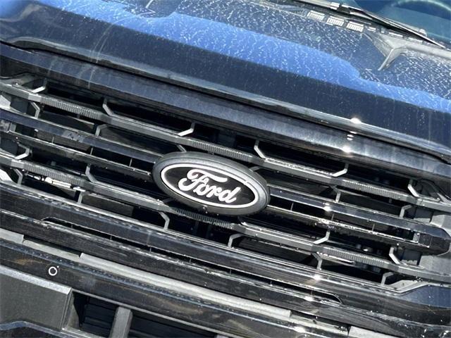new 2025 Ford F-150 car