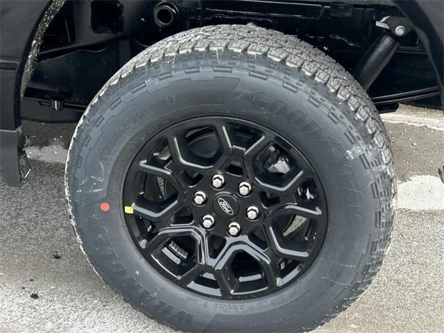 new 2025 Ford F-150 car