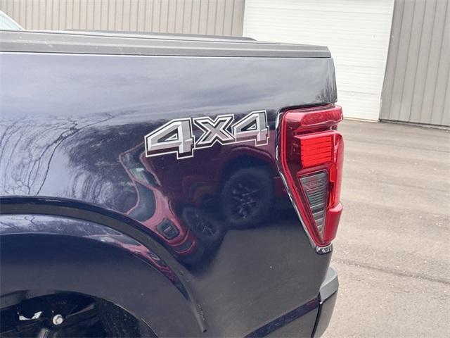 new 2025 Ford F-150 car