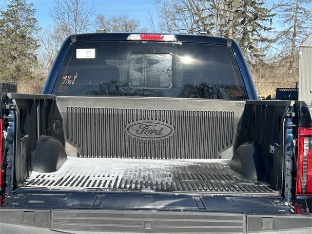 new 2025 Ford F-150 car