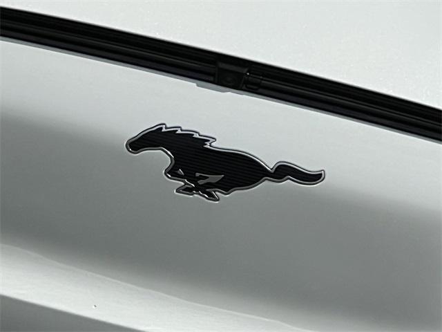 new 2025 Ford Mustang Mach-E car