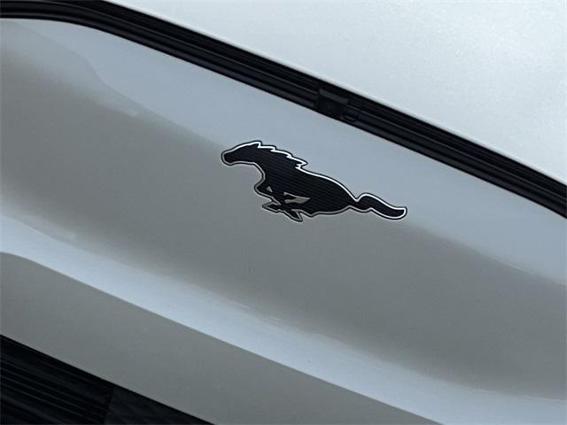 new 2025 Ford Mustang Mach-E car