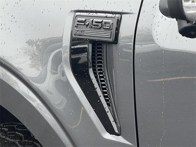 new 2025 Ford F-150 car
