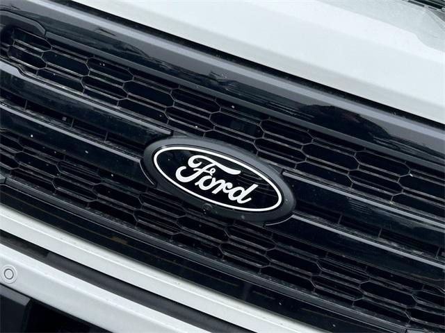 new 2025 Ford F-150 car
