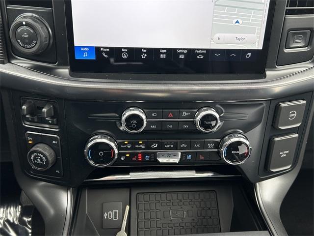 new 2025 Ford F-150 car