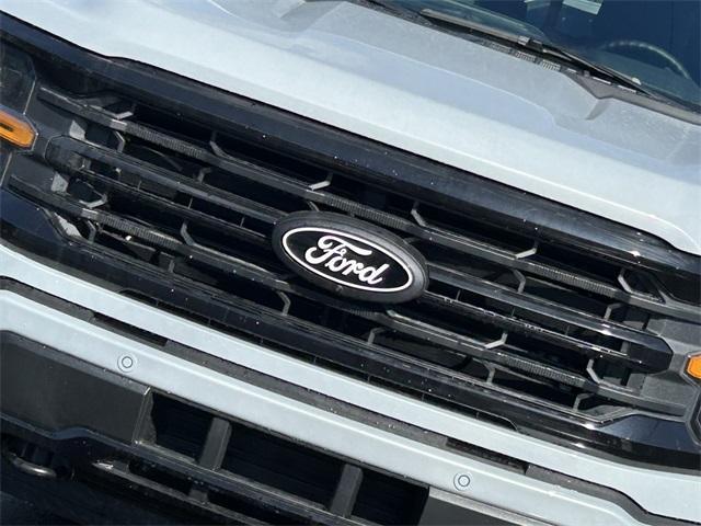 new 2025 Ford F-150 car