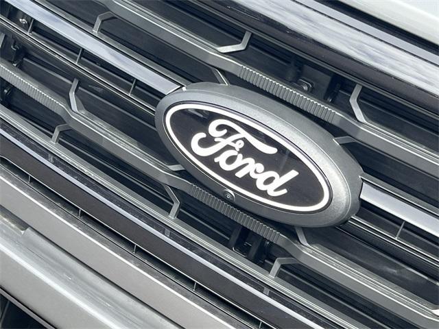 new 2025 Ford F-150 car