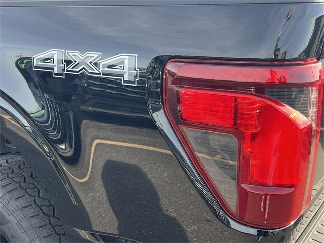 new 2025 Ford F-150 car