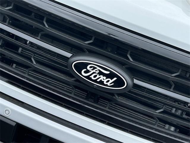 new 2025 Ford F-150 car