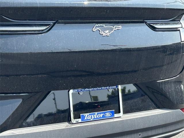 new 2025 Ford Mustang Mach-E car