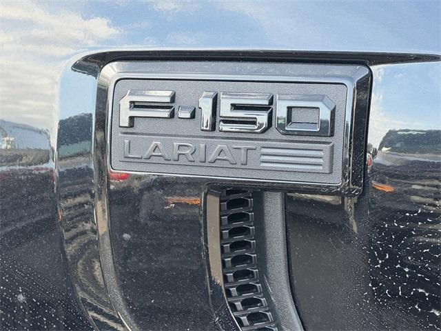 new 2025 Ford F-150 car