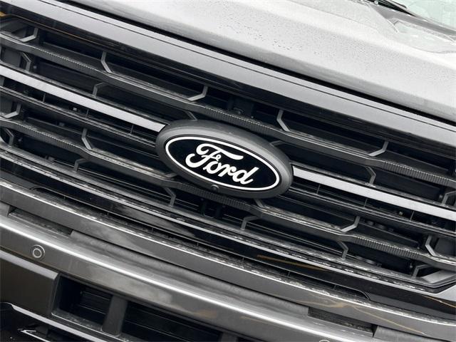 new 2025 Ford F-150 car