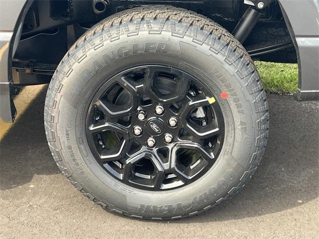 new 2025 Ford F-150 car