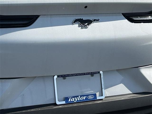 new 2025 Ford Mustang Mach-E car