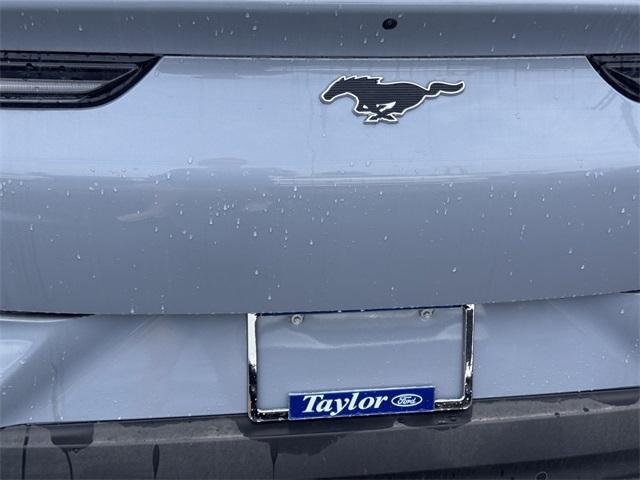 new 2025 Ford Mustang Mach-E car