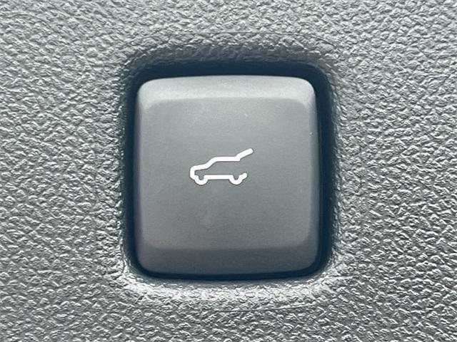 new 2025 Ford Escape car
