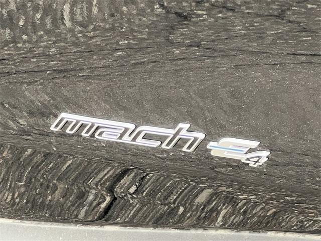 new 2025 Ford Mustang Mach-E car