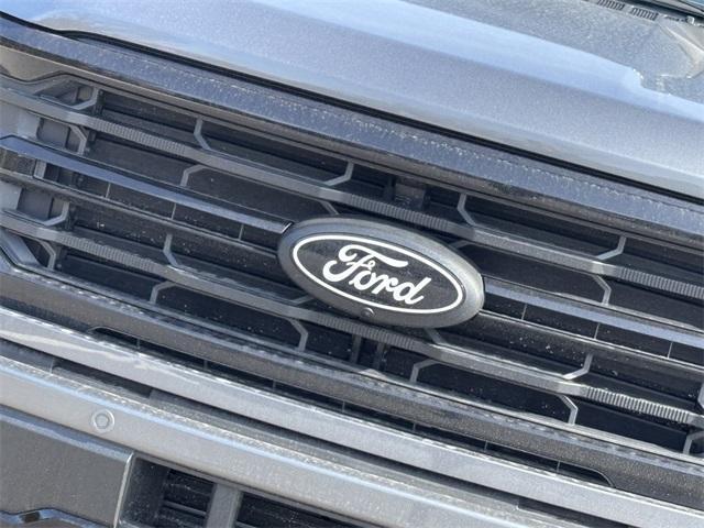 new 2025 Ford F-150 car