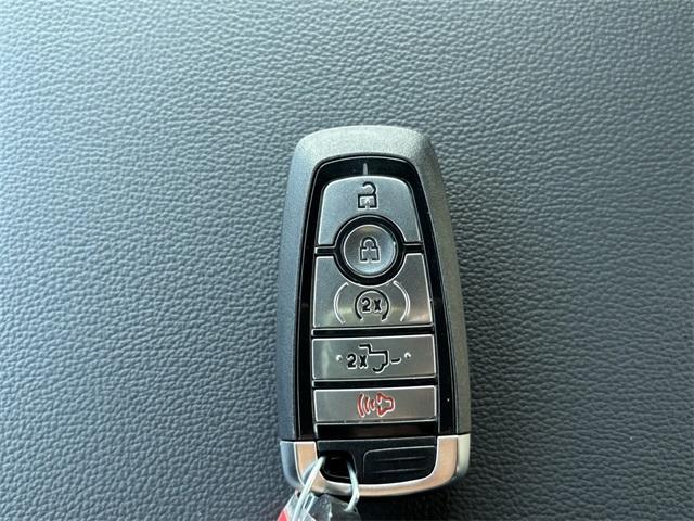 new 2025 Ford F-150 car