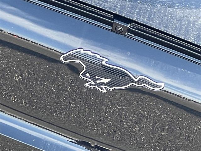new 2025 Ford Mustang Mach-E car