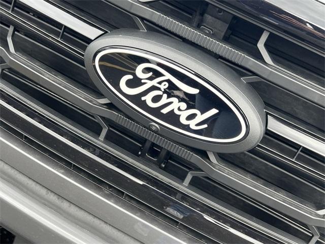 new 2025 Ford F-150 car