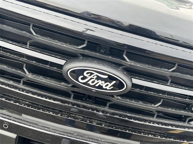 new 2025 Ford F-150 car