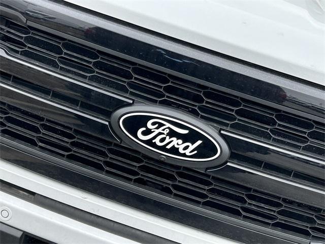 new 2025 Ford F-150 car